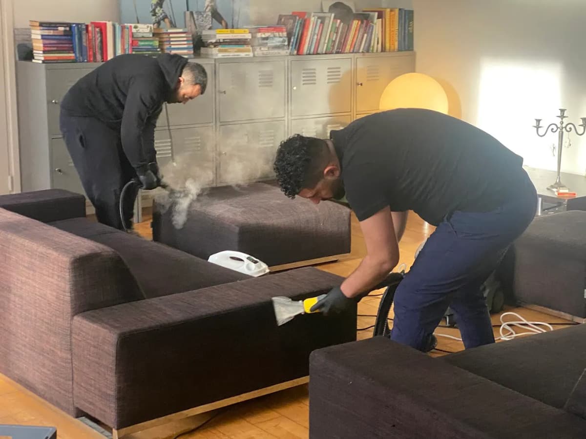 Especialista limpiando un sofá a domicilio